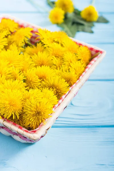 Korg med gul maskros blomma — Stockfoto