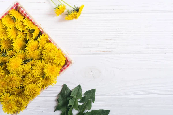 Cesto con fiore di tarassaco giallo — Foto Stock