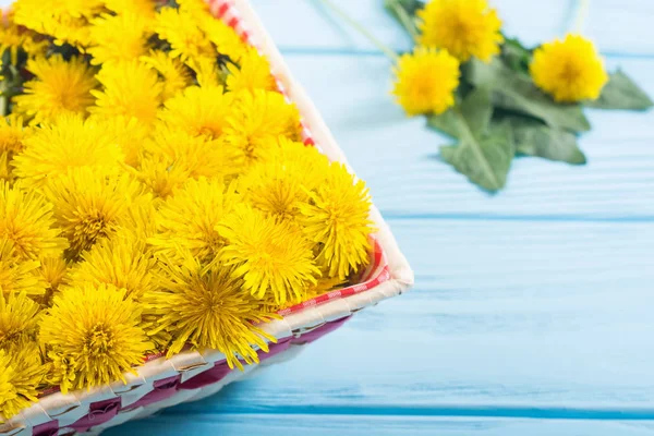Cesto con fiore di tarassaco giallo — Foto Stock