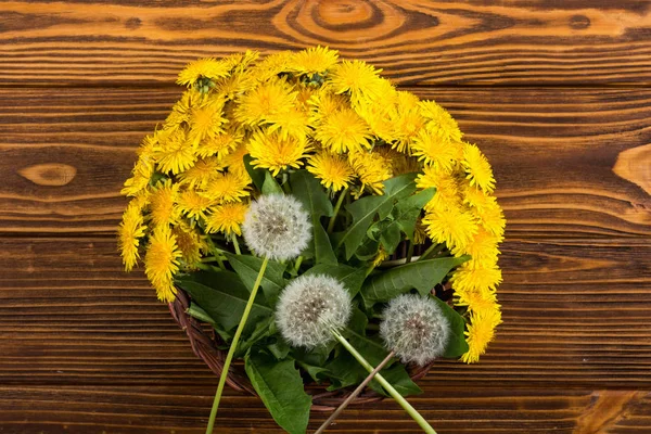 Cesta com flor de dente de leão amarelo — Fotografia de Stock