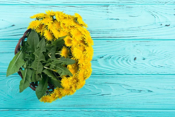 Cesto con fiore di tarassaco giallo — Foto Stock