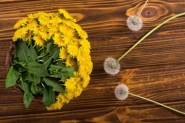 Cesto con fiore di tarassaco giallo — Foto Stock