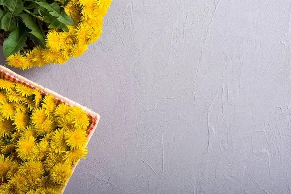 Καλάθι με κίτρινο λουλούδι πικραλίδα — Φωτογραφία Αρχείου
