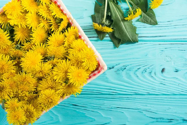 Cesta com flor de dente de leão amarelo — Fotografia de Stock