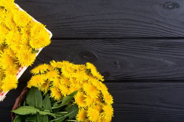 Sarı karahindiba çiçeği ile Sepet