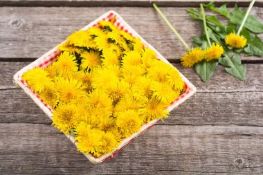 Sarı karahindiba çiçeği ile Sepet