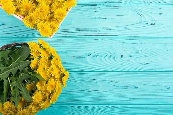 Cesto con fiore di tarassaco giallo — Foto Stock