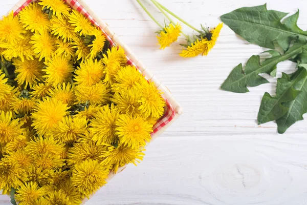 Korb mit gelber Löwenzahnblüte — Stockfoto