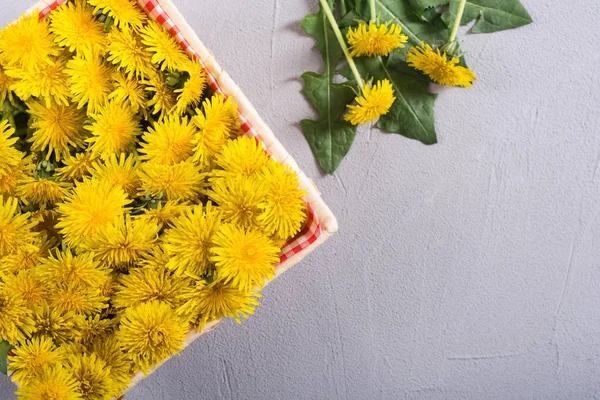 Korb mit gelber Löwenzahnblüte — Stockfoto