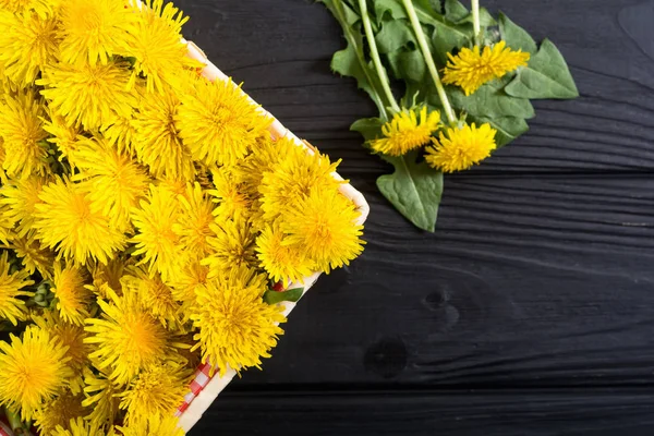 Sarı karahindiba çiçeği ile Sepet — Stok fotoğraf