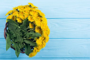 Sarı karahindiba çiçeği ile Sepet