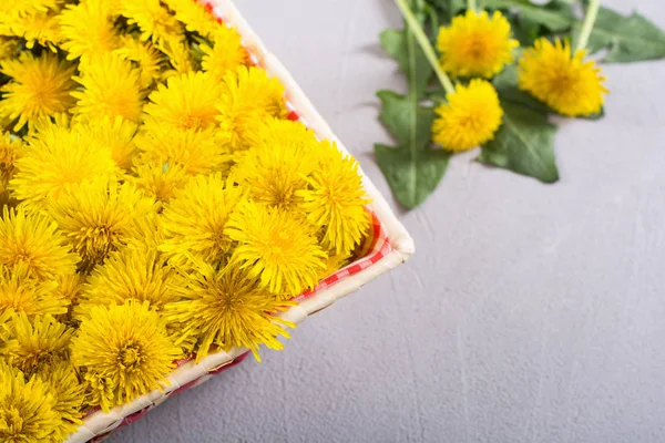 Cesta com flor de dente de leão amarelo — Fotografia de Stock