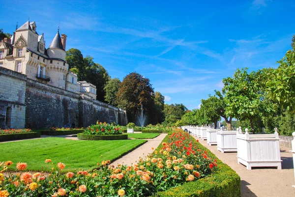 Usse kalede Fransız bölgesi Loire valley