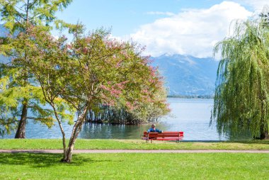 Huzurlu arka plan park İsviçre
