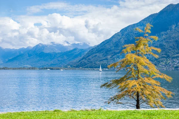 Fondo Tranquilo Suiza Vista Lago Las Montañas — Foto de Stock