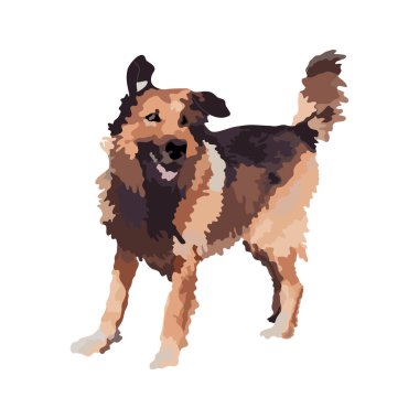 Güzel köpek vektör çizim. Beyaz arka plan