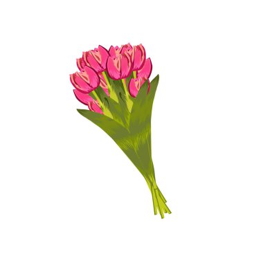 Gerçekçi vektör Lale buketi. Beyaz zemin üzerine güzel çiçekler.