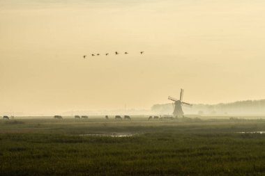 Uçan kaz ile ülkenin ortasında Mill
