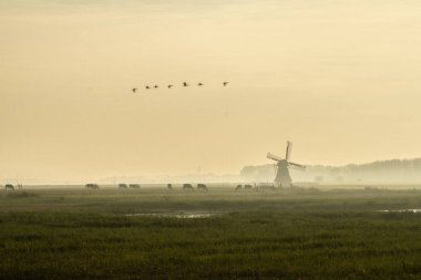 Uçan kaz ile ülkenin ortasında Mill