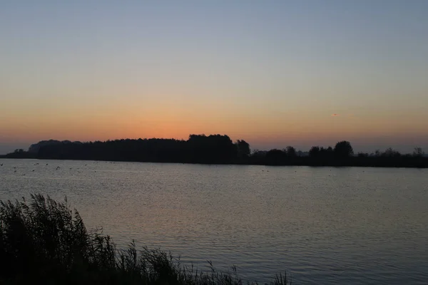 Lever Soleil Derrière Les Arbres Derrière Lac — Photo