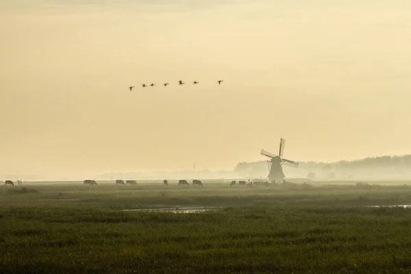 Mill Middle Country Flying Geese — Stock Photo, Image