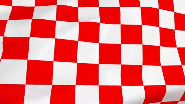 Croatian Red White Squares Flag — Stock Video