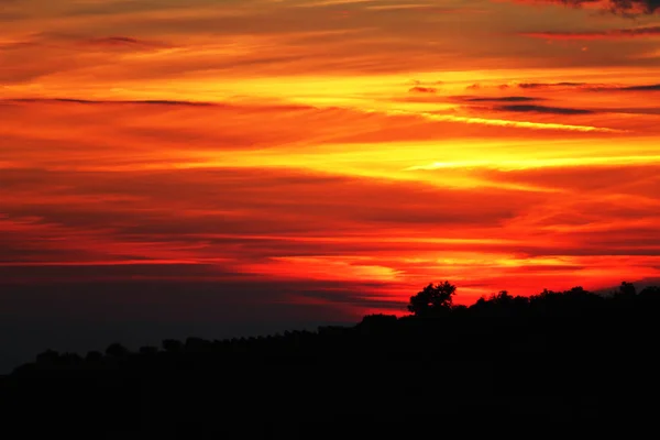 对太阳光在天空背景在夕阳中树 — 图库照片