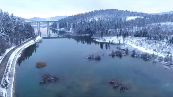 Vue Aérienne Depuis Drone Beau Lac Montagne Hiver — Video