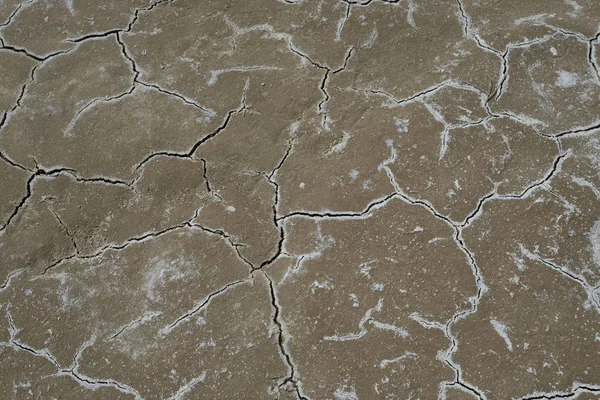 Gebarsten Zoute Bodem Schrale Grond Effect Van Een Droogte Het — Stockfoto