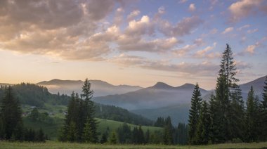 Alpin çayır köknar-ağaç ön planda. Dağlar aralıkları kompozisyon ortasında sis kaplı. Sabah gökyüzü arka planda renkli bulutlar ile.