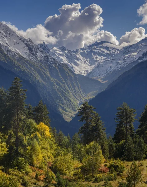 Foresta Autunnale Illuminata Dal Sole Contro Montagne Innevate Sfondo — Foto Stock