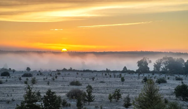 Herbstszene Bei Sonnenaufgang Morgennebelstreifen Mitten Der Komposition Frostige Wiese Vordergrund — Stockfoto
