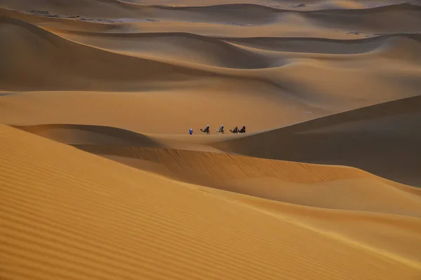 Camello caravana entre dunas — Foto de Stock