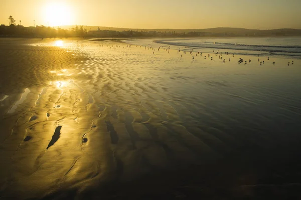 Gouden zonsopgang op strand — Stockfoto