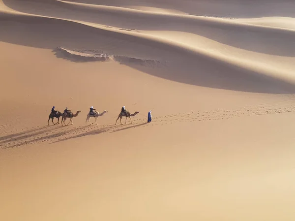 Camel caravan in sand desert. Aerial view. Small camels  figures cast long shadows.