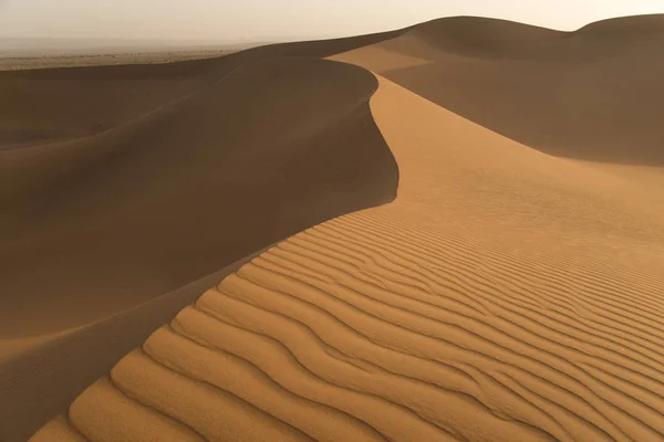 Dunas en el desierto — Foto de Stock