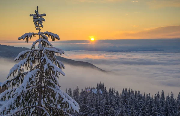 山の朝の霧 — ストック写真