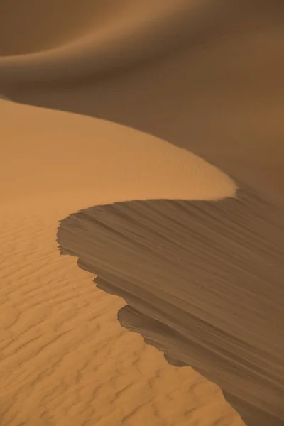 Patrón del desierto — Foto de Stock