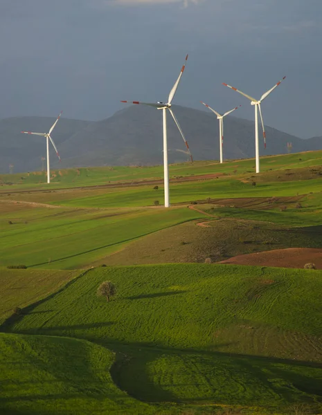 Wind power station against the beautiful landscape