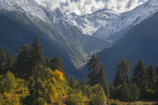 Árboles dorados y montañas cubiertas de nieve — Foto de Stock