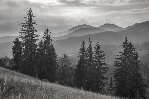 Light fog, mountains - black-and-white landscape — Stock Photo, Image