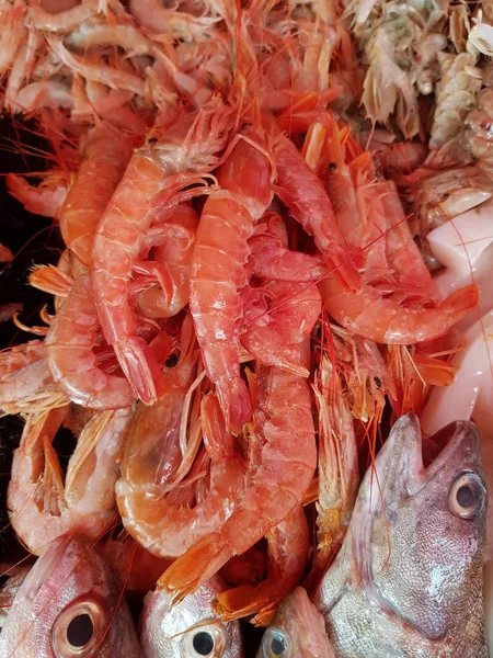 Seafood Assortment — Stock Photo, Image