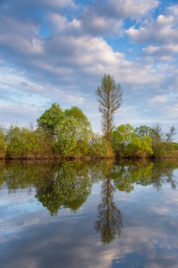 Bahar manzarası suya yansıyor. Dikey bileşim.