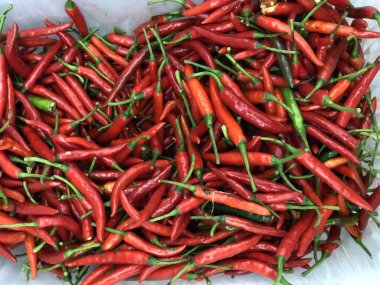 Tayland kırmızı biber 