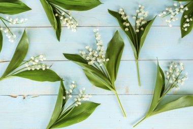 Lily vadi çiçek Background.Spring çiçek arka plan üzerinde