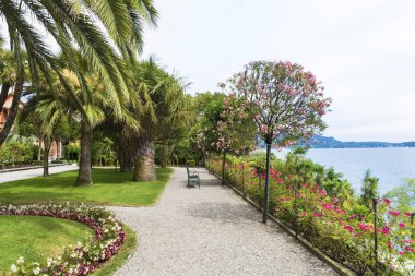 Eastland alışveriş merkezi zakkum ağaçları ve Madre.Isola Madre Island Palms, Lake Maggiore Piyemonte, Kuzey İtalya Borromean Adaları biridir.