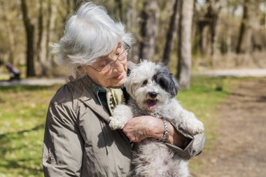 Bir bahar parkta onu fino köpeği köpek sarılma mutlu gülen kadın kıdemli