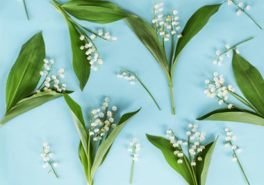 Lily vadi çiçek Background.Spring çiçek arka plan üzerinde