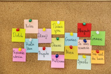 Mantar pano arka plan ve kavramsal metin yapışkan notlar