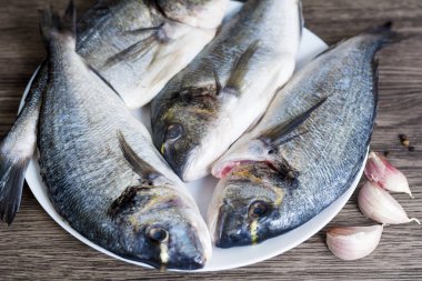 Taze ham çipura balık 